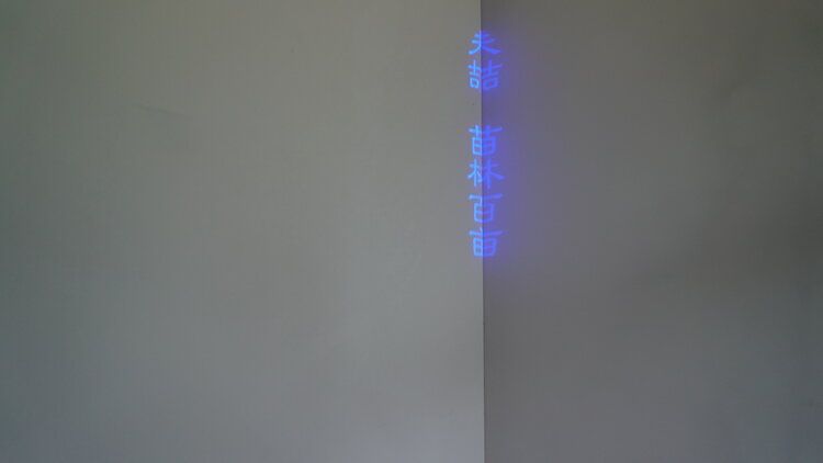video projection - chinese characters - blue script