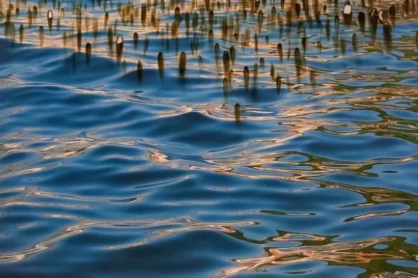 Surprise of becoming a photo artist – Interview with Li Zhang