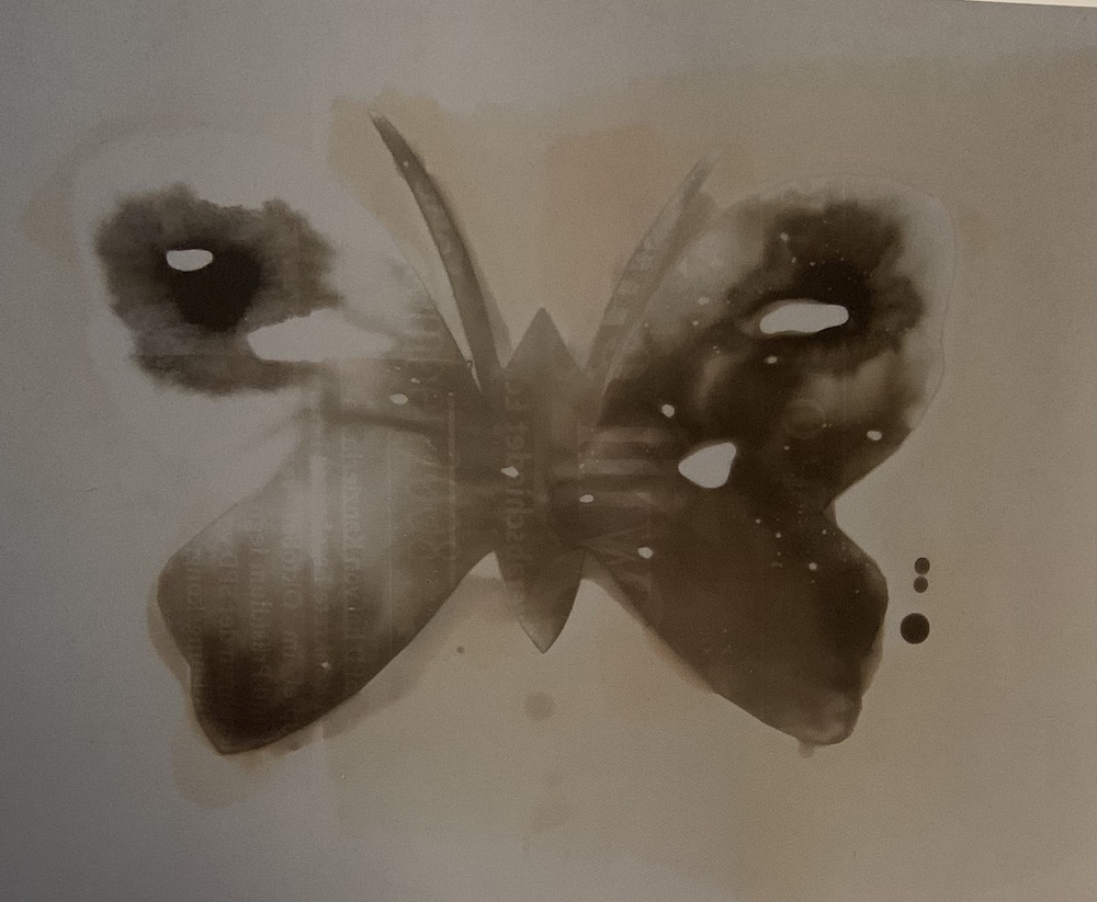 moth photogramm