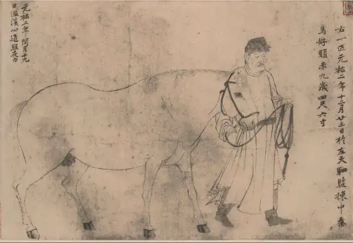 Five horses of Zhaoling part 4